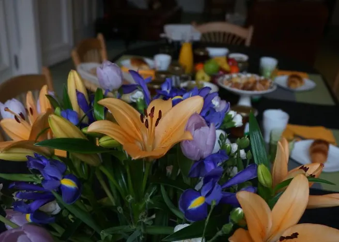 Abri Du Passant Roubaix